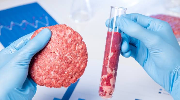 Laboratory grown Meat with seeding of animal cells and shape it as required 