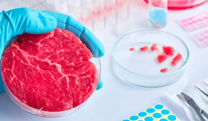 Meat growth in lab apparatus by giving appropriate conditions