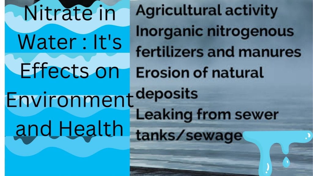 Nitrate in Water : It's Effects on Environment and Health