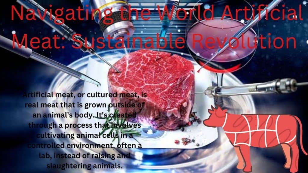 Navigating the world to artificial Meat for sustainable solution