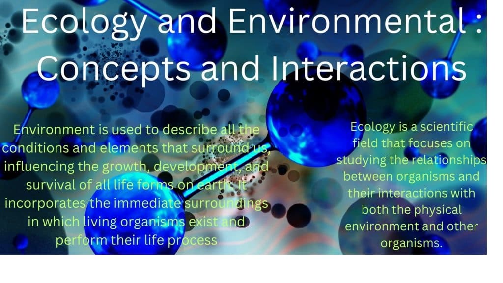 Food web Ecology and Environmental Concepts and Interactions