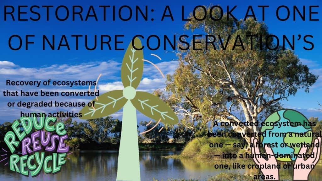 RESTORATION: A LOOK AT ONE OF NATURE CONSERVATION’S