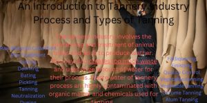Introduction to Tannery Industry Process and Types of Tanning