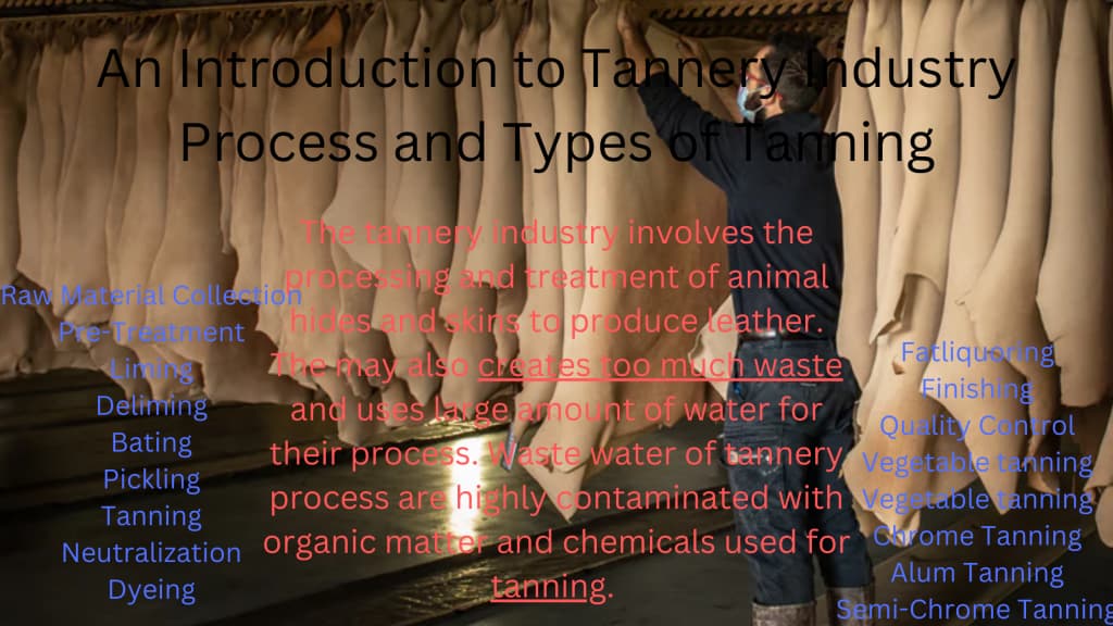 Introduction to Tannery Industry Process and Types of Tanning