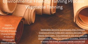 Environmental Friendly Tanning Process: Vegetable Tanning