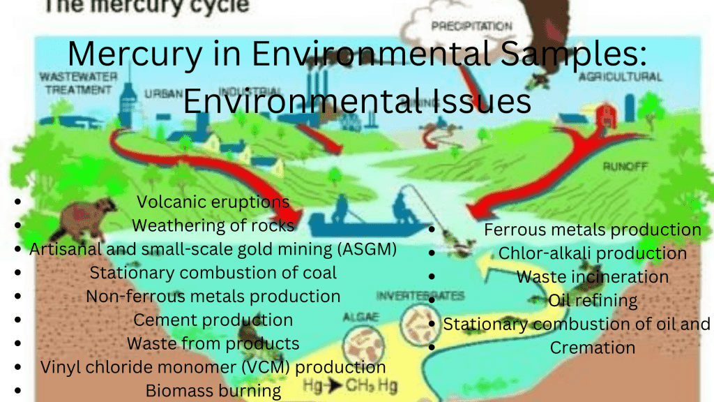 Mercury in Environmental Samples: Environmental Issues
