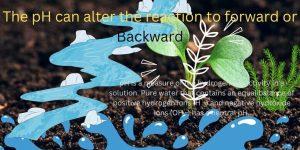 pH of Drinking Water: The pH can alter the reaction to forward or backward.