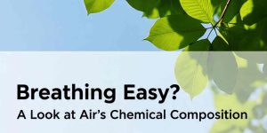 Breathing Easy? A Look at Air's Chemical Composition Air Quality
