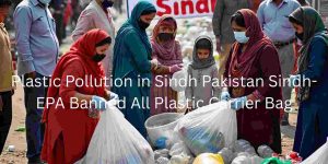 Plastic Pollution in Sindh Pakistan Sindh-EPA Ban All Carrier Plastic Bags